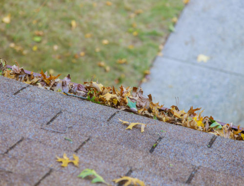 Tips for Gutter Maintenance During The Winter Months